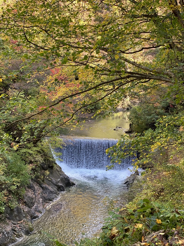iphone11proで鳴子峡の遊歩道から鳴子峡を望んだ風景写真