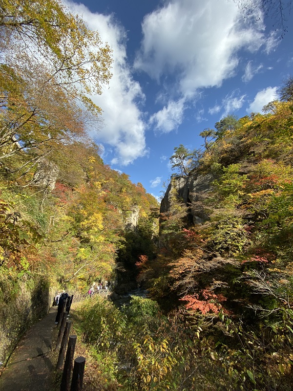 iphone11proで鳴子峡の遊歩道から鳴子峡を望んだ風景写真
