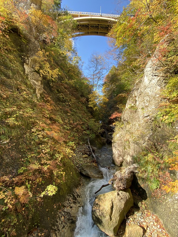 iphone11proで鳴子峡の遊歩道から鳴子峡を望んだ風景写真