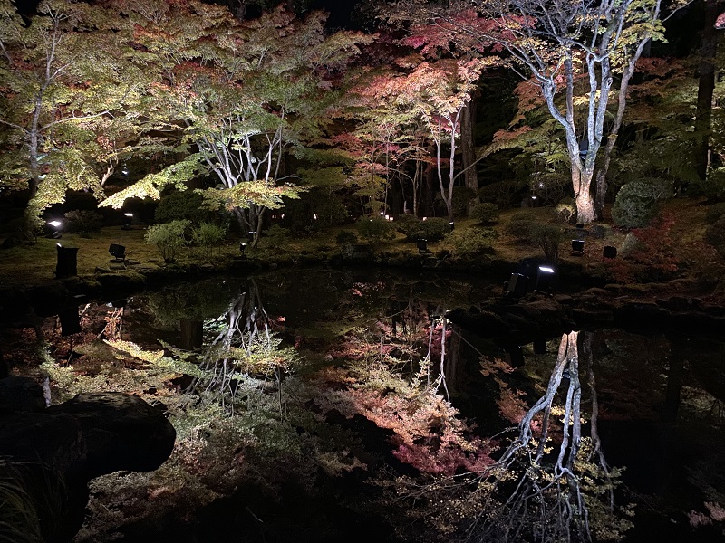 円通院のライトアップ逆さもみじの写真