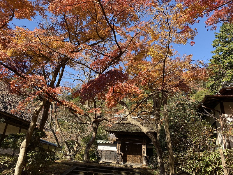 円覚寺の紅葉の写真