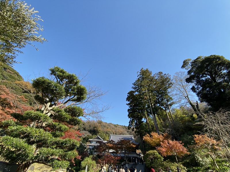 円覚寺の紅葉の写真