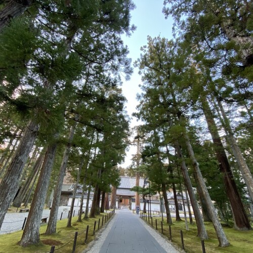瑞巌寺の参道の風景写真