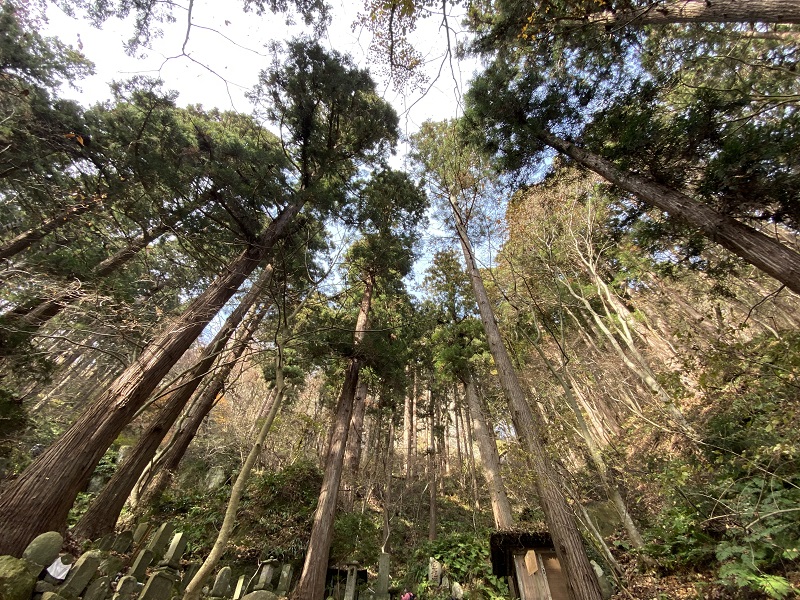 iphone 11 proで撮影山寺立石寺の風景写真