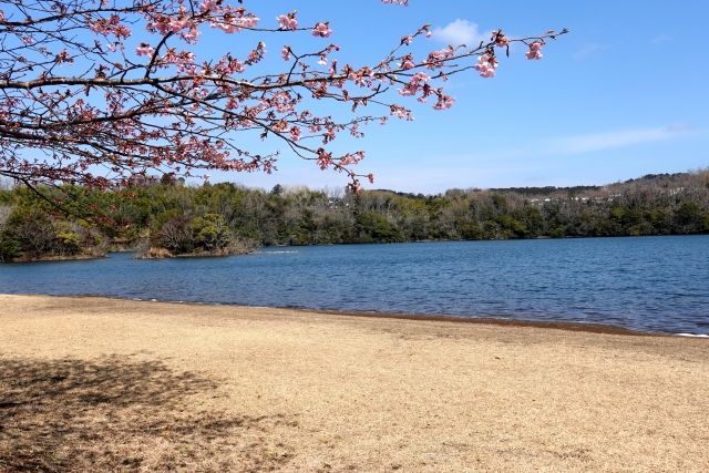 春風駘蕩のイメージ写真