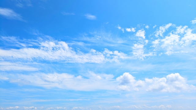 春風駘蕩のイメージ写真