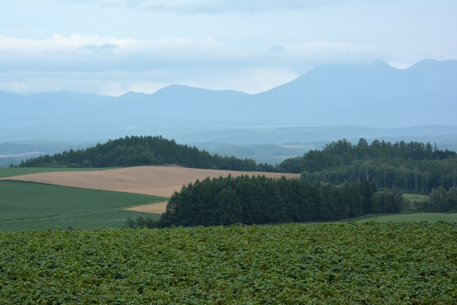 春風駘蕩のイメージ写真