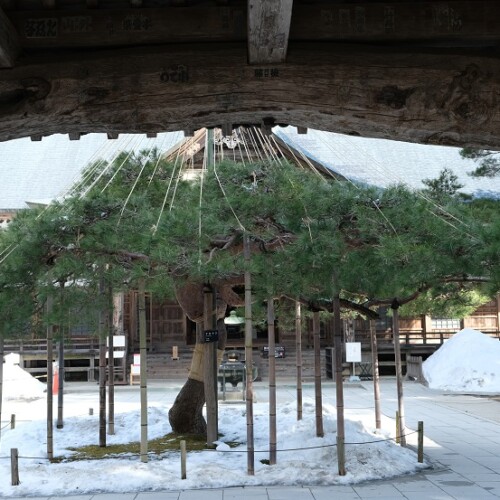 中尊寺の山門