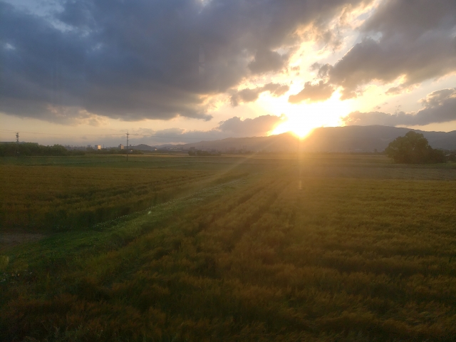 花鳥風月のイメージ写真