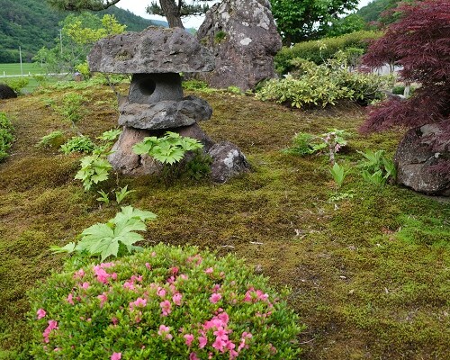 いつかのの6月の皐月の写真