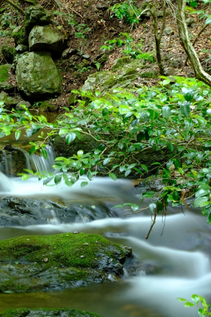 功を成すのイメージ写真