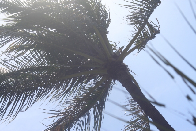 風速のイメージ写真