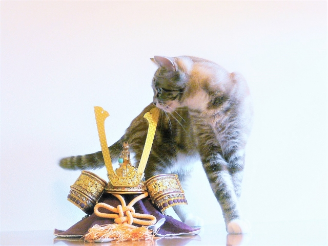 勝って兜の緒を締めよのイメージ写真