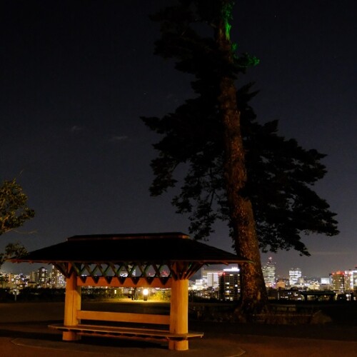 仙台城址公園の夜景の写真