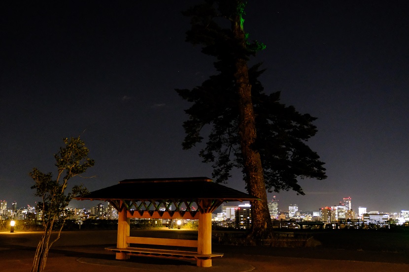 仙台城址公園の夜景の写真