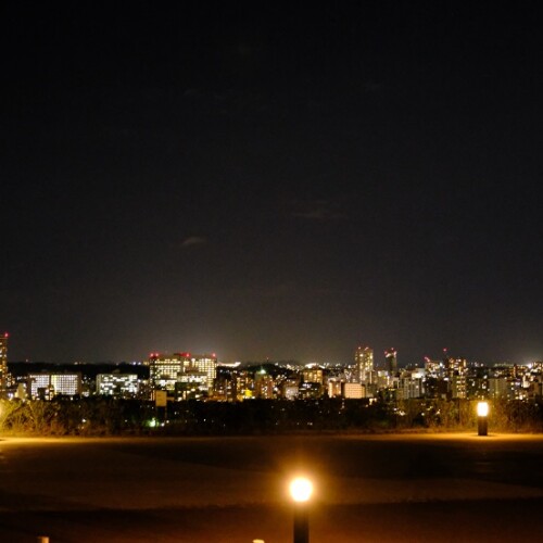 青葉城址公園の夜景