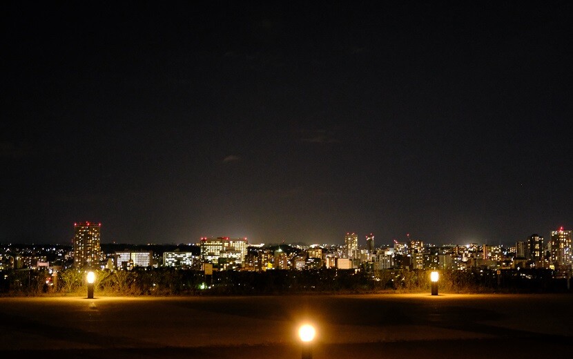 青葉城址公園の夜景