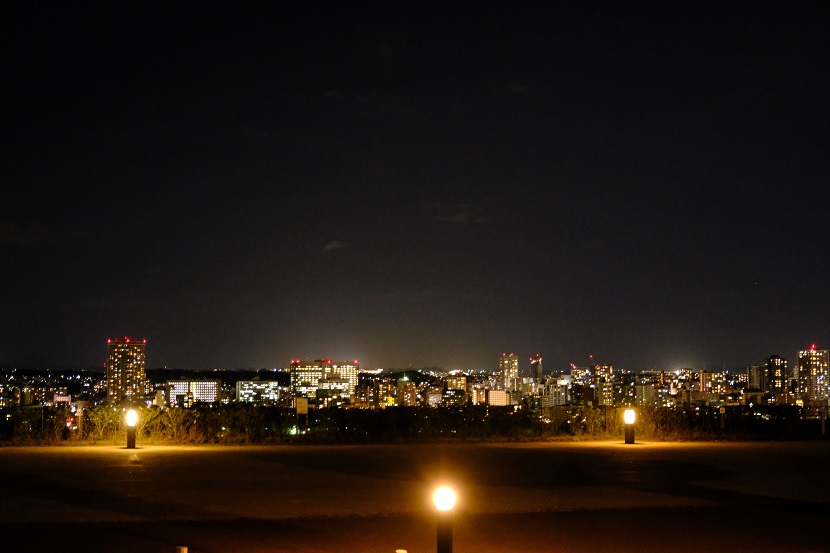 青葉城址公園の夜景