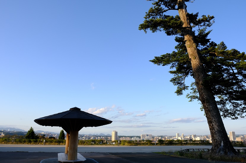 仙台城址公園から見た仙台市内の風景