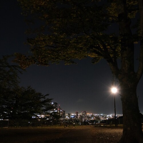 仙台城址公園から見た仙台市内の風景