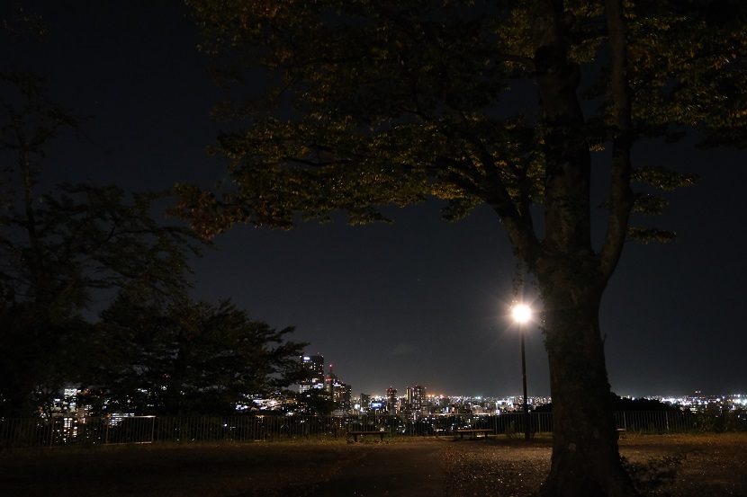 仙台城址公園から見た仙台市内の風景