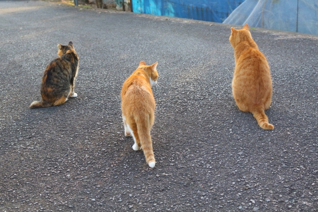 人の噂も七十五日のイメージ写真