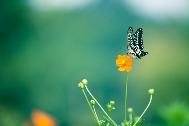 河岸を変えるイメージ写真