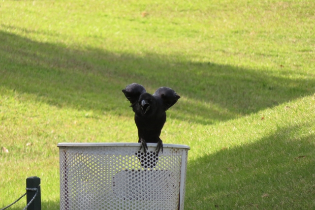 けしからんのイメージ画像