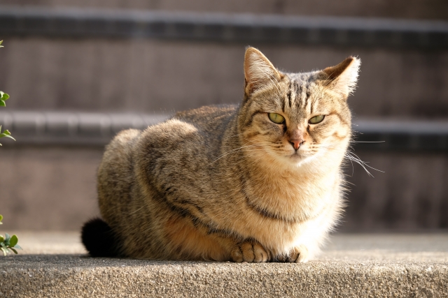 考え得るのイメージ写真