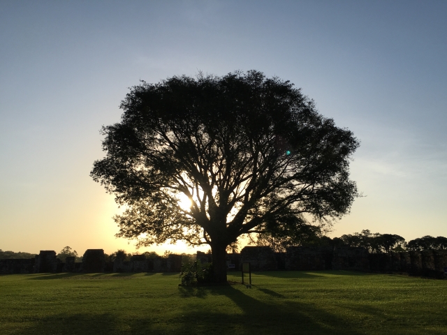 夜の帳のイメージ写真