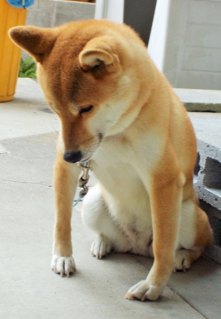 丁重にお断りのイメージ写真