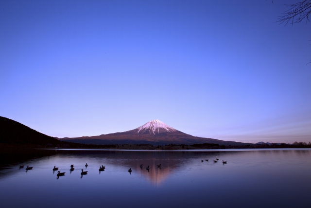 堅気のイメージ写真