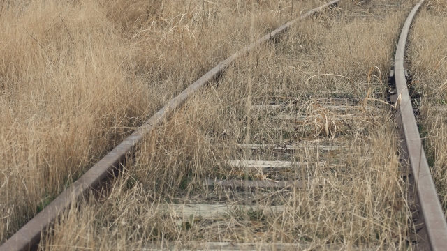 心に染みる画像