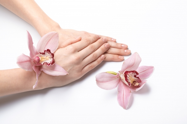 申し添えるのイメージ写真