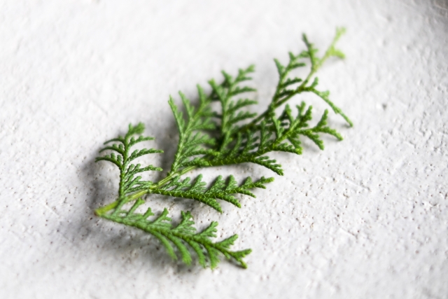 申し添えるのイメージ写真