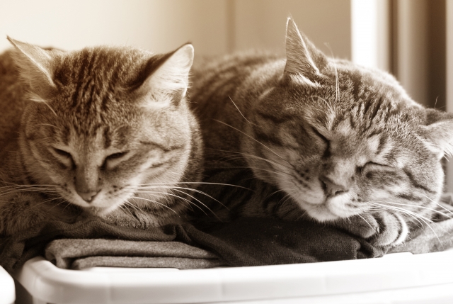 事欠かないのイメージ写真