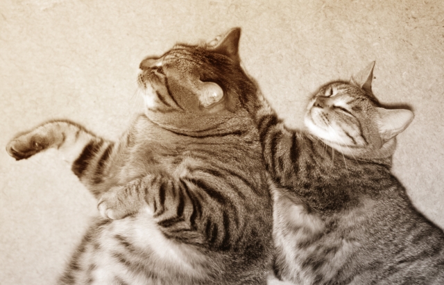 事欠かないのイメージ写真