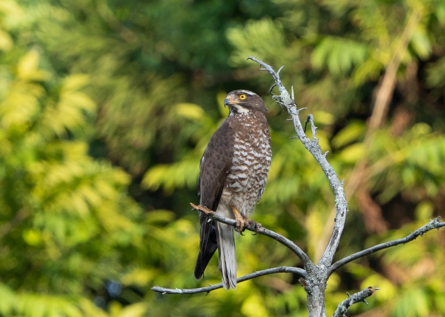 導線のイメージ写真