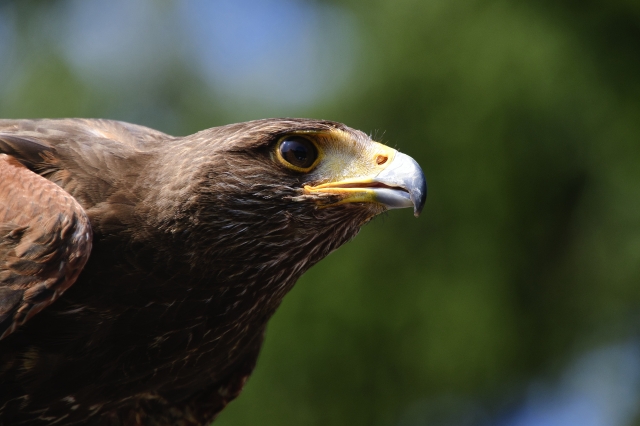 高を括るのイメージ写真