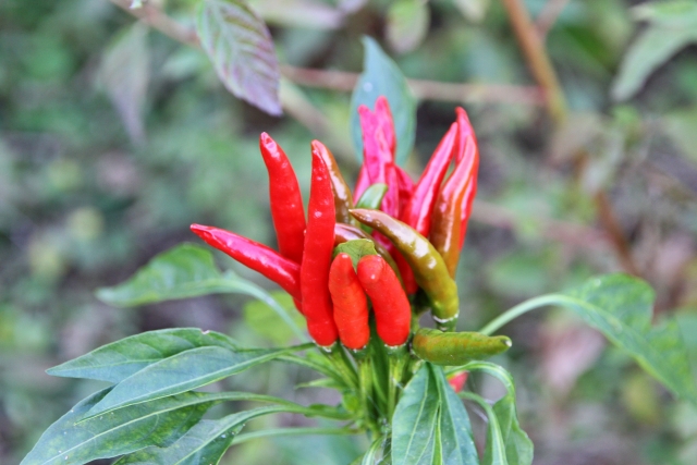 高を括るのイメージ写真