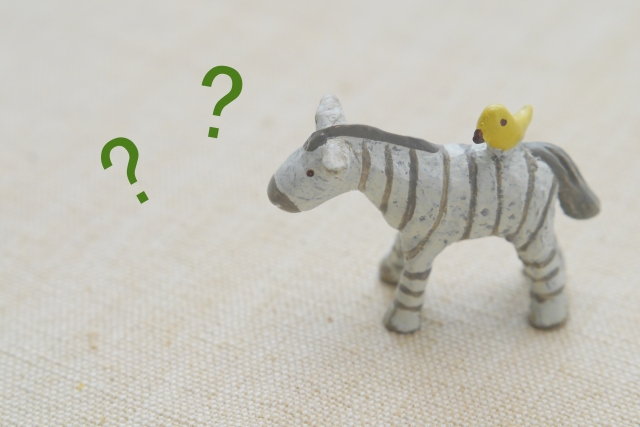 とまどうのイメージ写真