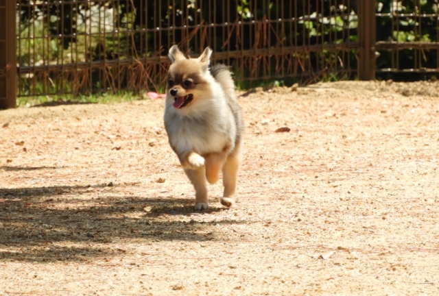 導線のイメージ写真