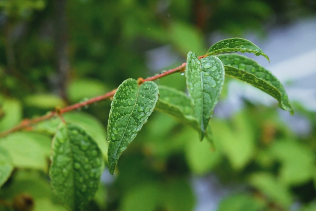 後味が悪いのイメージ写真