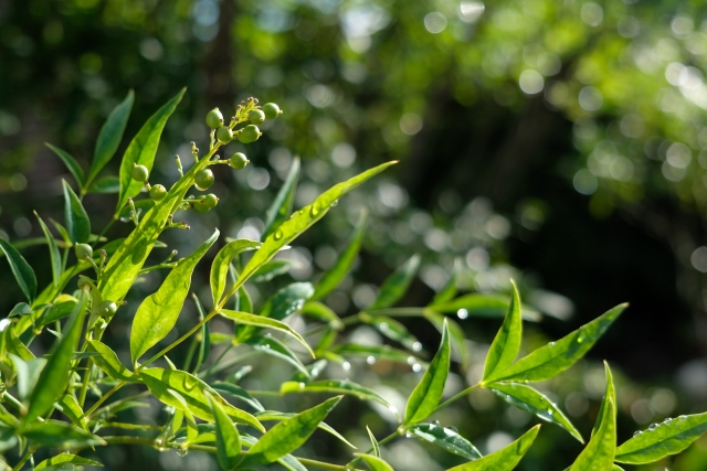 後味が悪いのイメージ写真