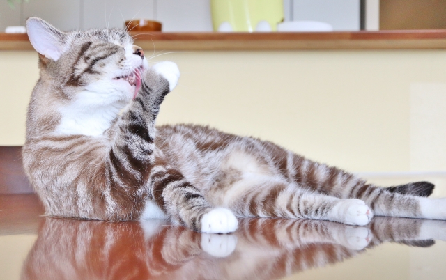 交友関係のイメージ写真