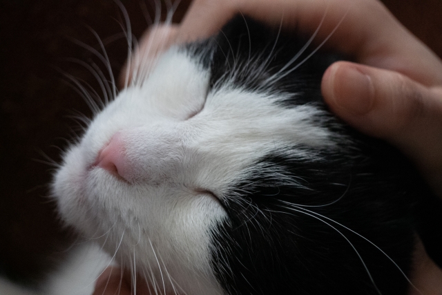 交友関係のイメージ写真