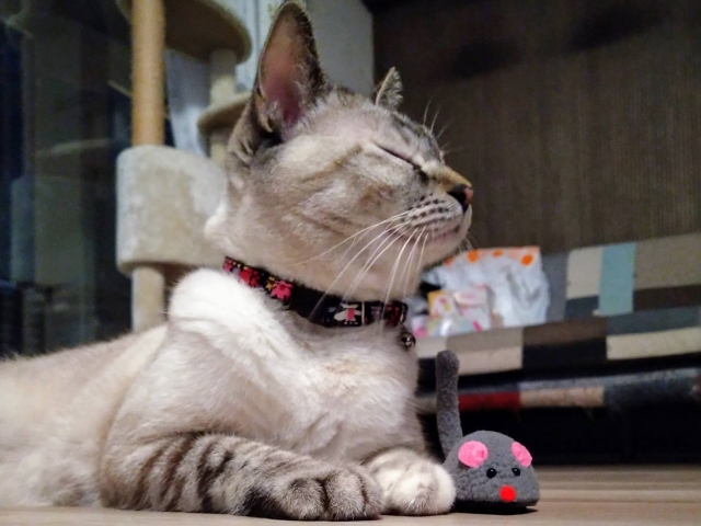よろしくのイメージ写真