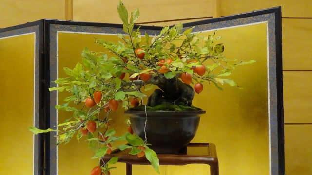 入選と佳作のイメージ写真