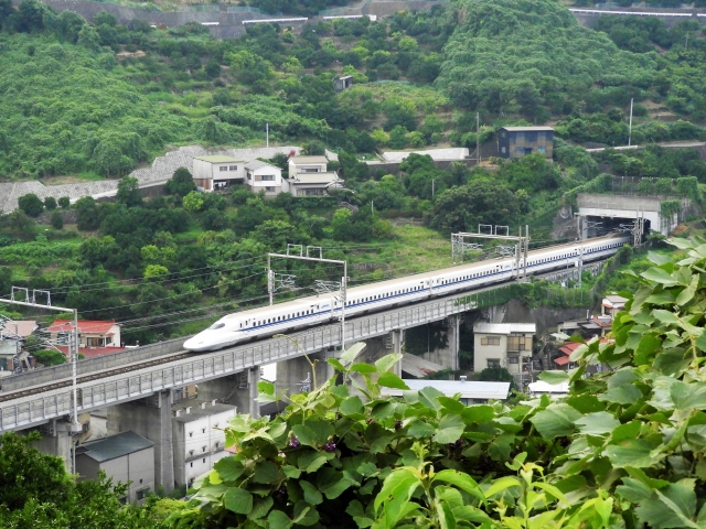 下手の横好きのイメージ写真