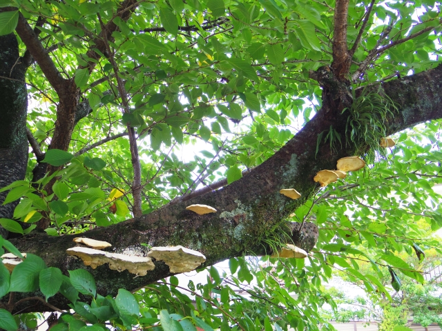 身に余るお言葉ののイメージ写真